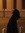 Tunku Rafi