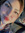 Juanita❣️ (pika_jay) | 2 comments