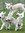 member photo member photo