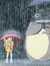 Totoro’...
