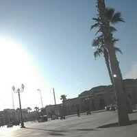 محمد بن العيد