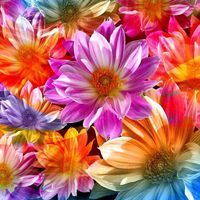 দর্শন এম এম কলেজ