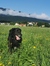 Rebeka ...