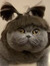 CATren
