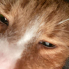 Milton H