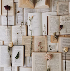 read_ingdiary  Bahar