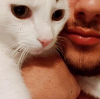 Στρατής Μαρκεζίνης