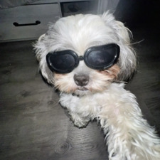 Margarida ˚ ༘♡ ⋆｡˚