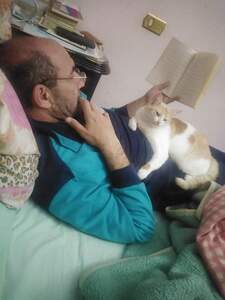 يارا ابراهيم