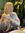 Triin Elisabeth 