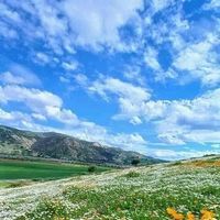 الثقافة الحضارة