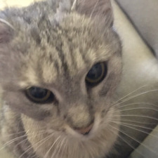 Štěpánka Kozlová