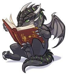 The Book Dragon