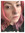 Dawn Finamore | 4 comments