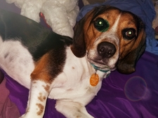 Jen NejZilla Loheide