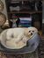 Renae H...