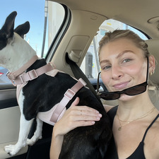 Laney Chmielewski
