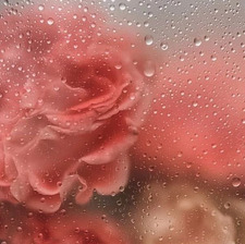 ❤️Heather❤️ Collins❤️