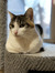 Abby