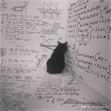 Gravity