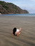 Coryn