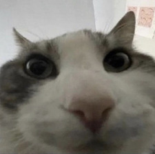 Peakoe