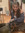 jimena