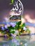 فاطمة ه...