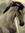 Ardie Cash