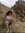 Ireee_09