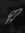 Feather...