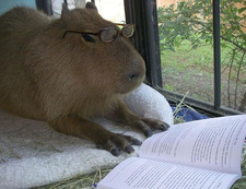 Нестор Тарасович