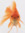 Lee The Goldfish