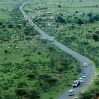 كباشي نور الدين