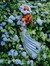 Ha Thanh