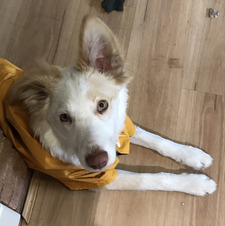 Christopher Phillips