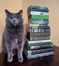 Ashley | peculiarprintrovert