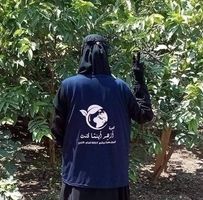 مريم إبنة'ة إبراهيم