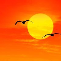 Евгени Зашев