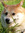 Elyce