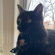 Marguerite Yoder Zook