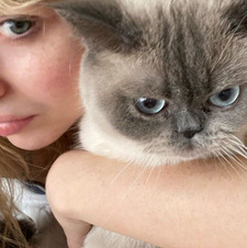 jojo ┆ ° ♡ • ➵ ✩ ◛ °