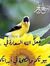 Heba Mo...