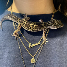 Levan
