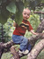 Lucas J...