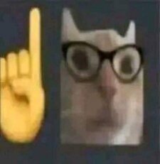 bean