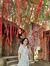 Hảoo Ann