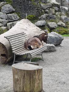 Χρυσάνθη Κοσμά