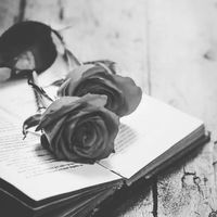 पन्ने मन के