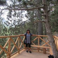 Красимира Николова